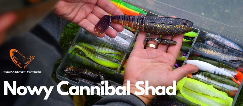 Nowy Cannibal Shad